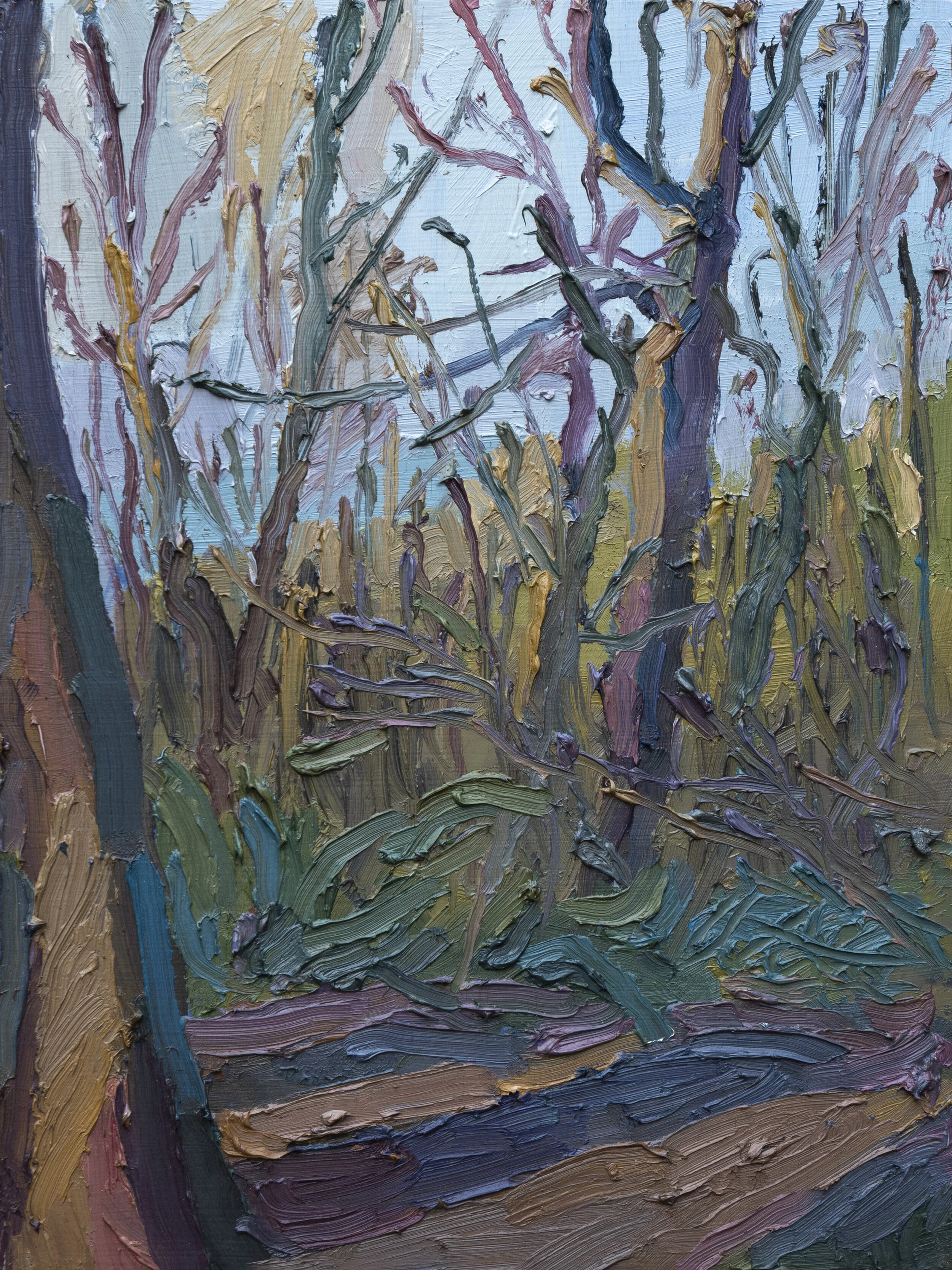 Carkeek Park in November