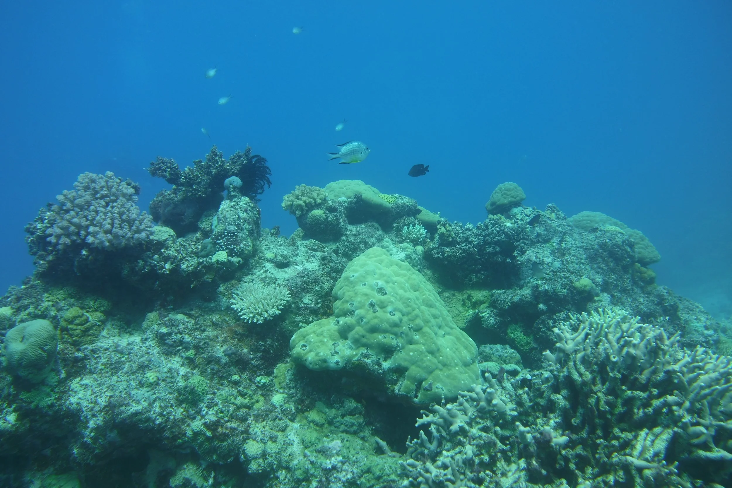 DSCI0354.JPG