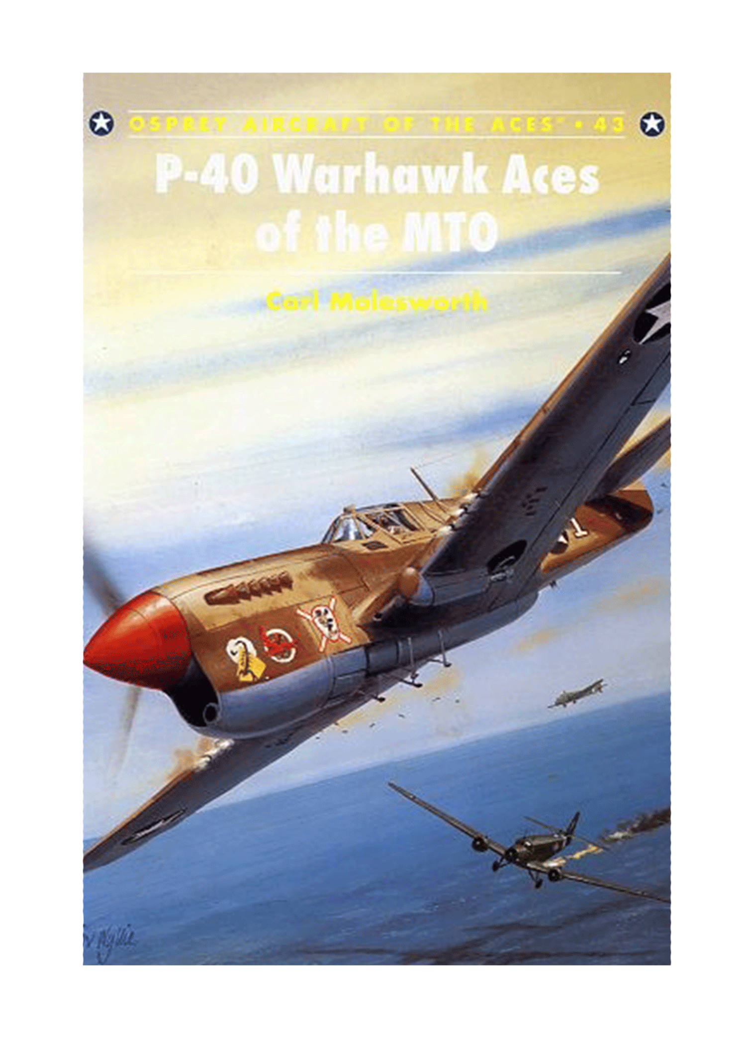 P-40 Warhawk Aces of the MTO