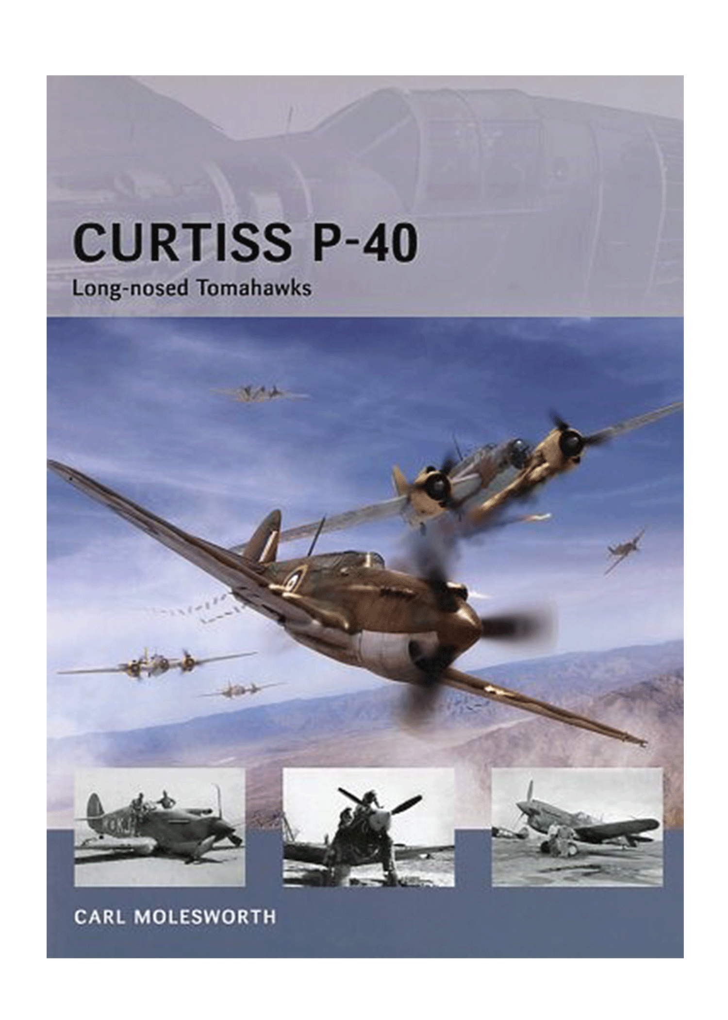 Curtiss-P40.gif