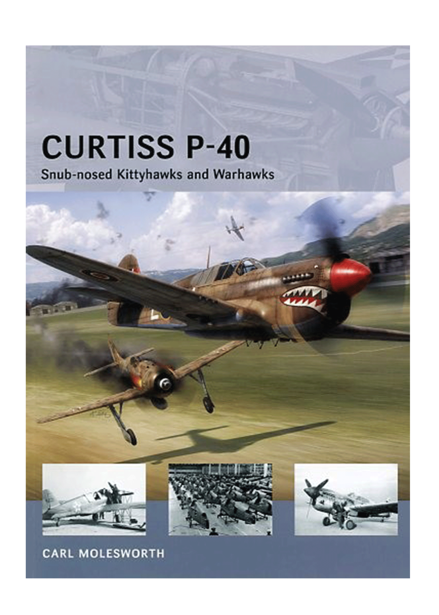 Curtiss-P40-snubnose-kitty-hawk.gif