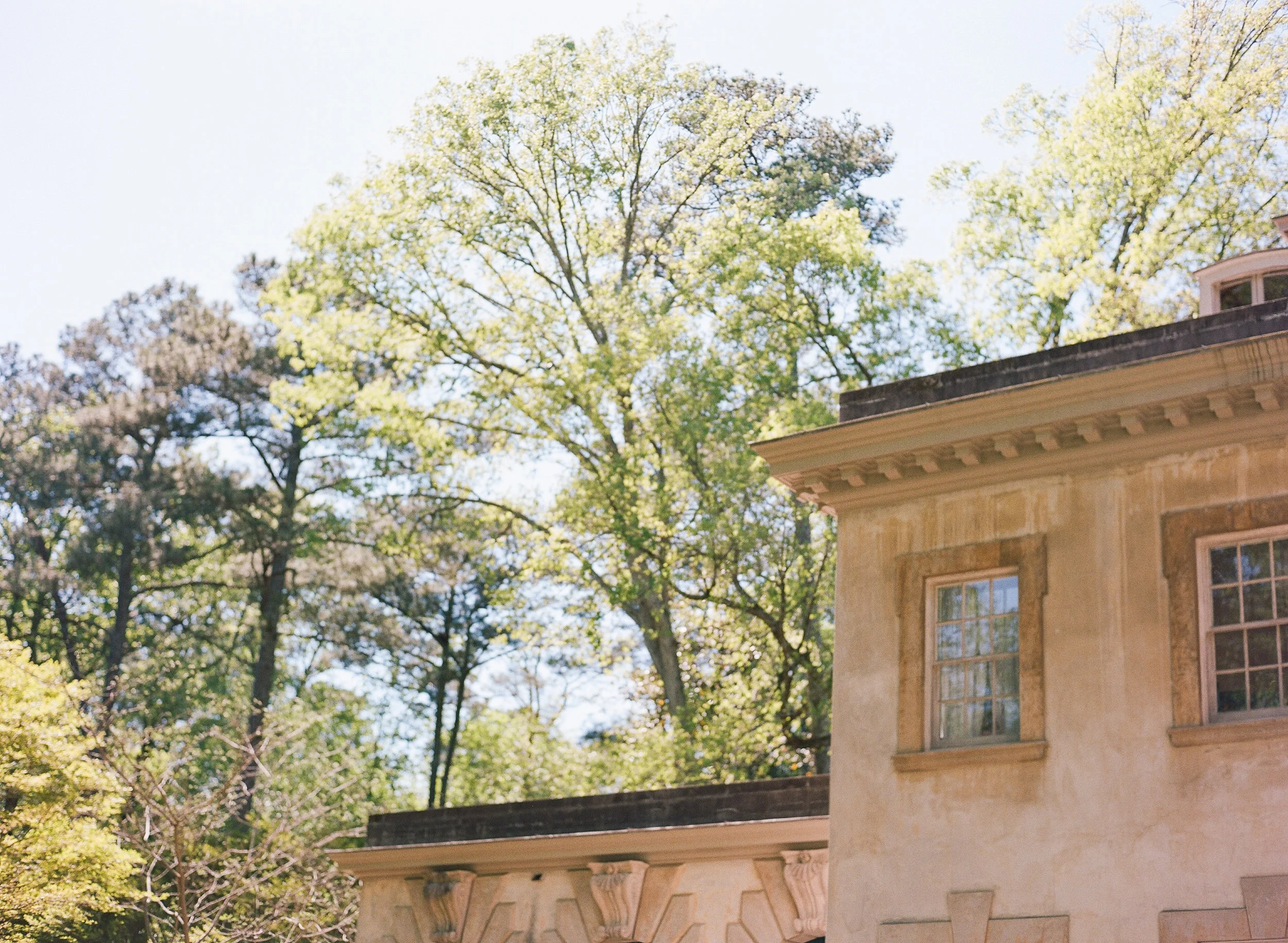 SwanHouseAtlanta_03.jpg