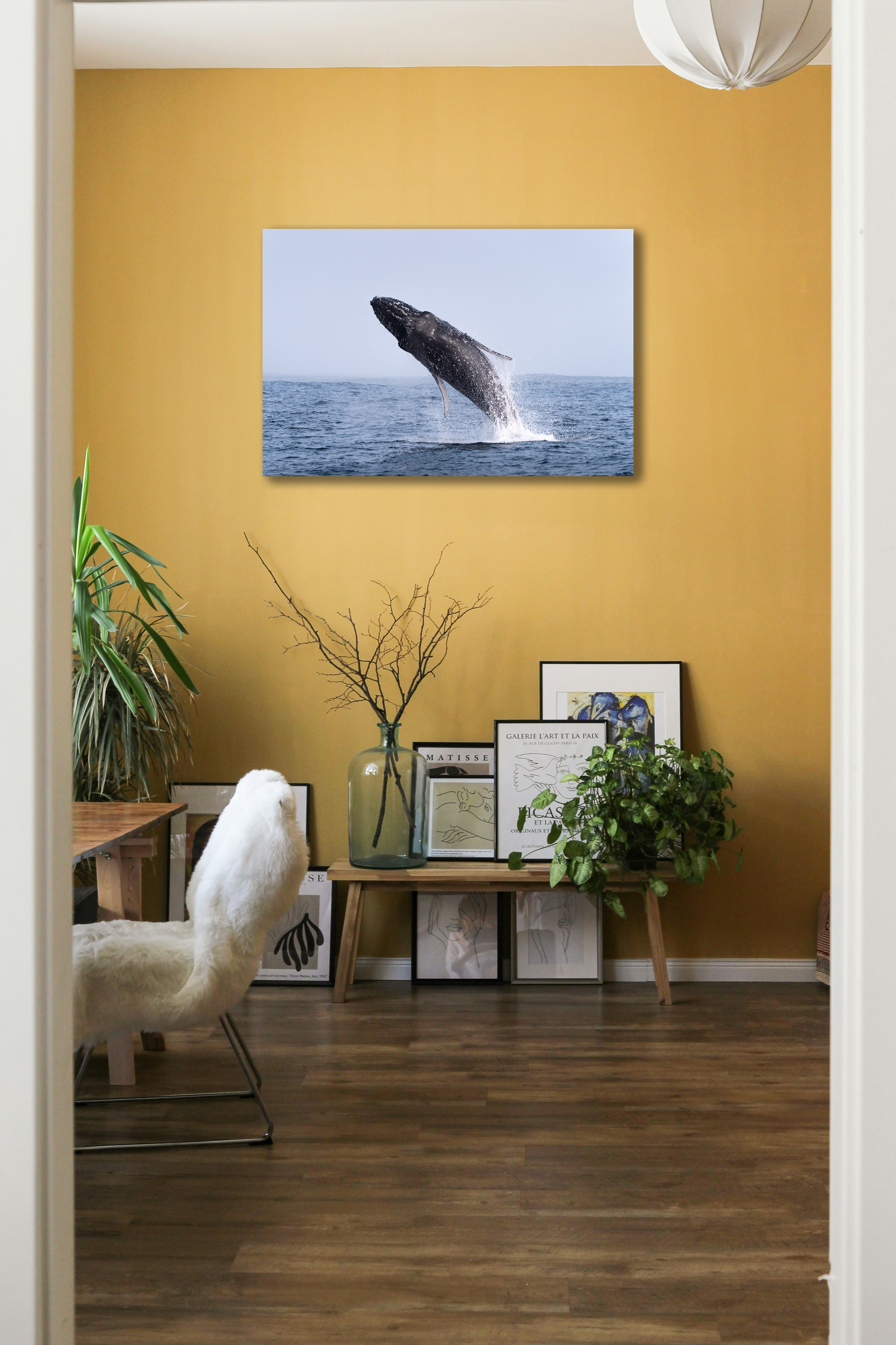 whale room 2.png