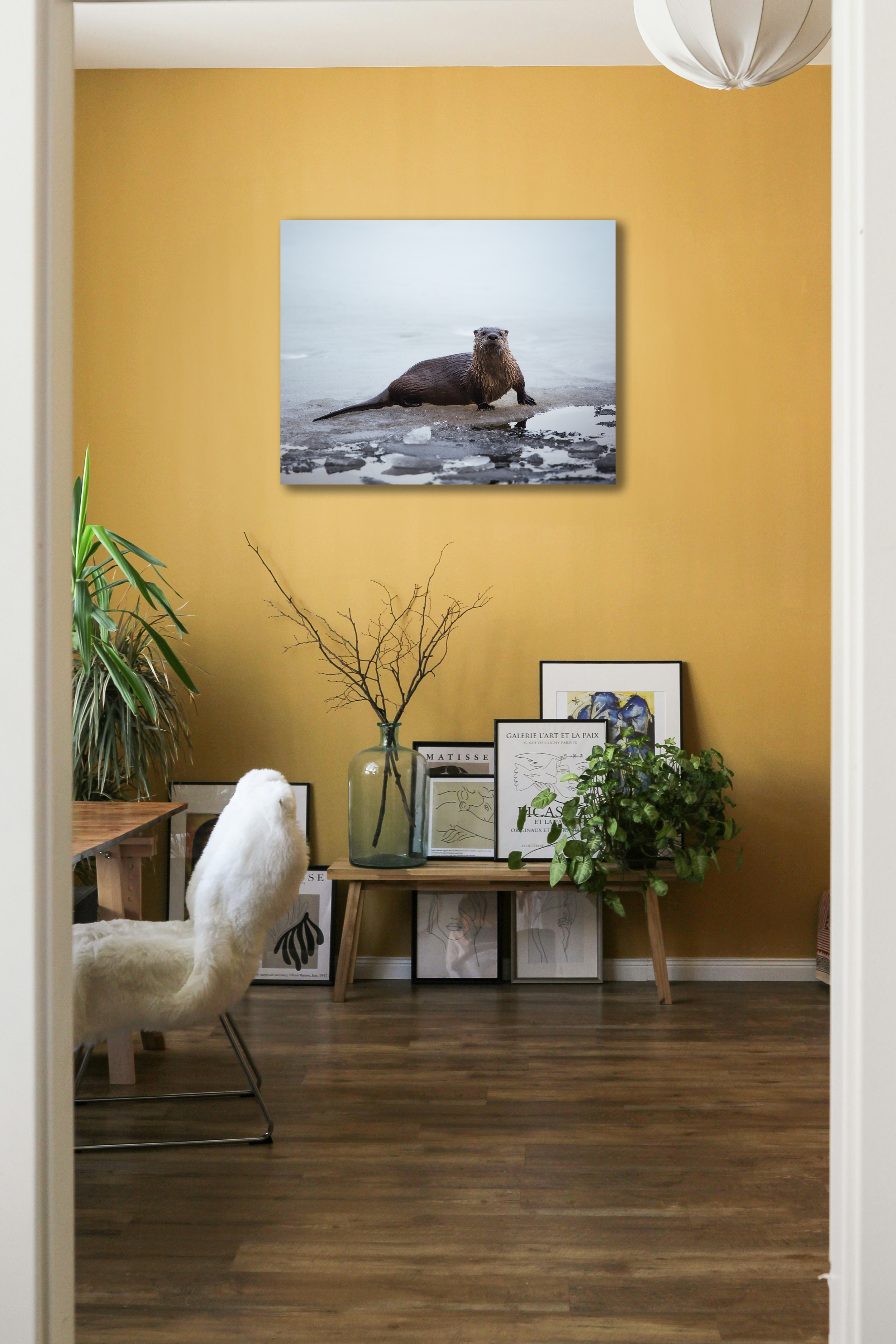 otter room 5.png