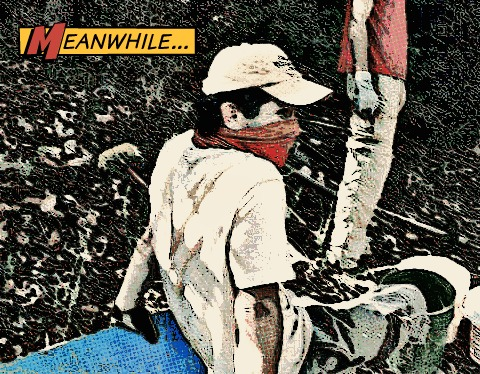 wheelbarrowcomic.png