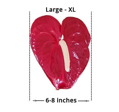bbb-thumbnail-1.jpg