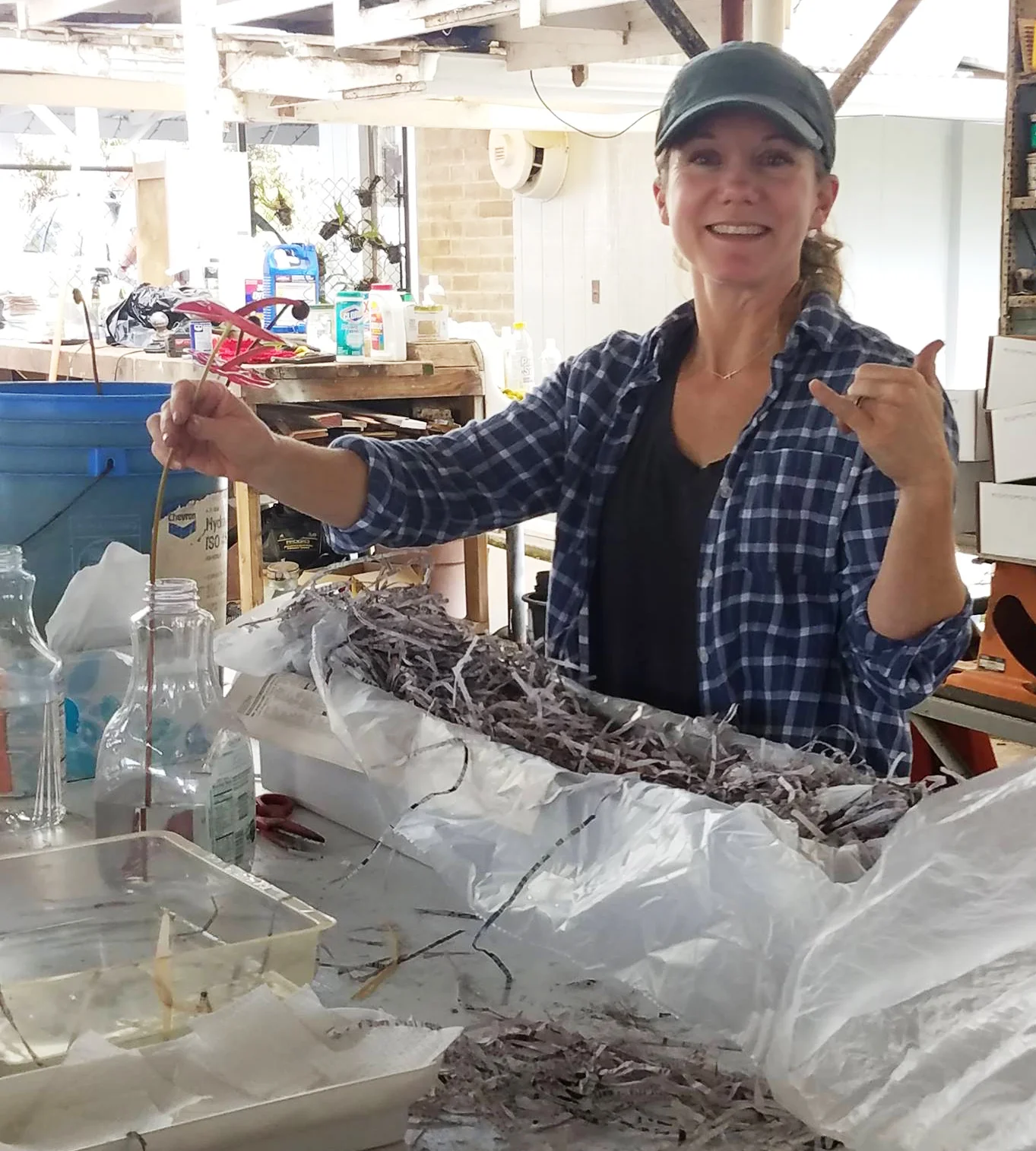 Heather carefully wrapping and packing each anthurium for shipment.