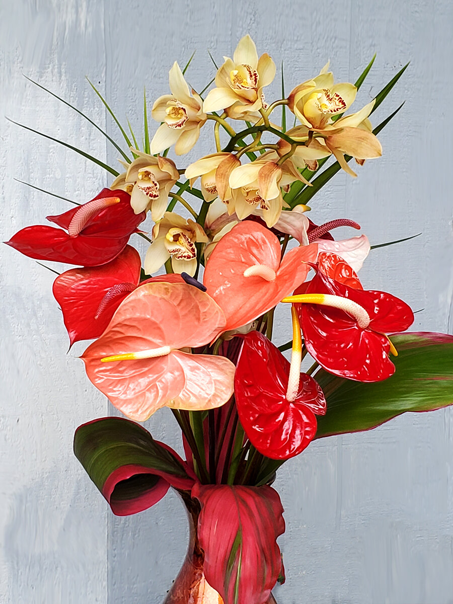 Spring Cymbidiums with background.jpg