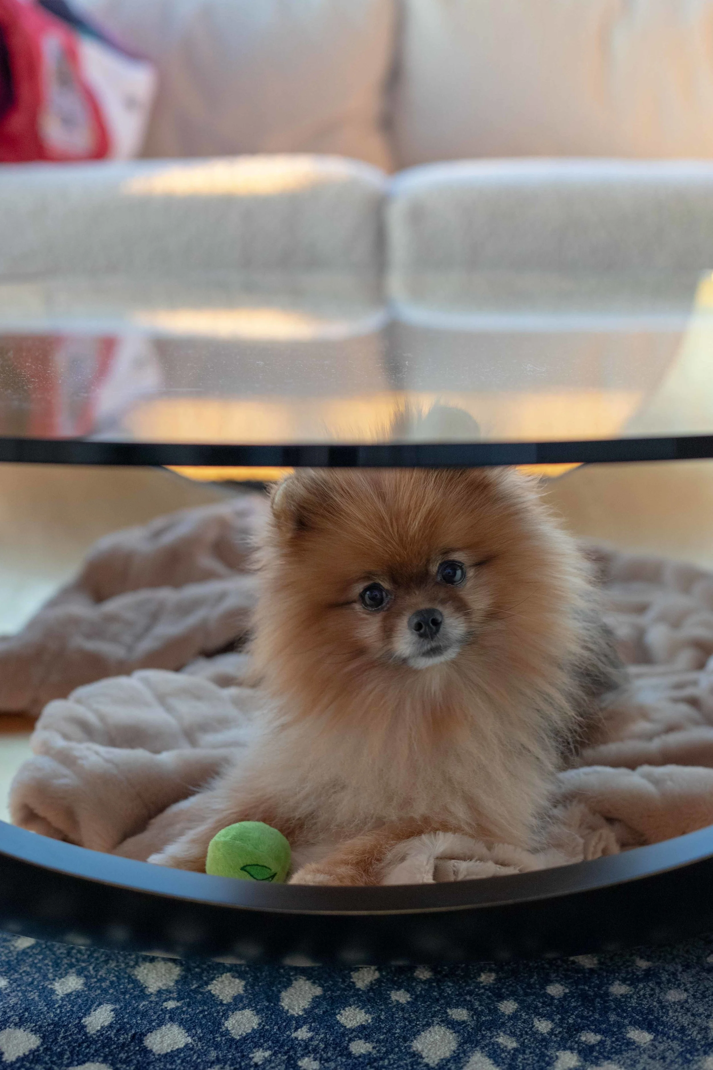 Charlie Rose loves to sit in the coffee table
