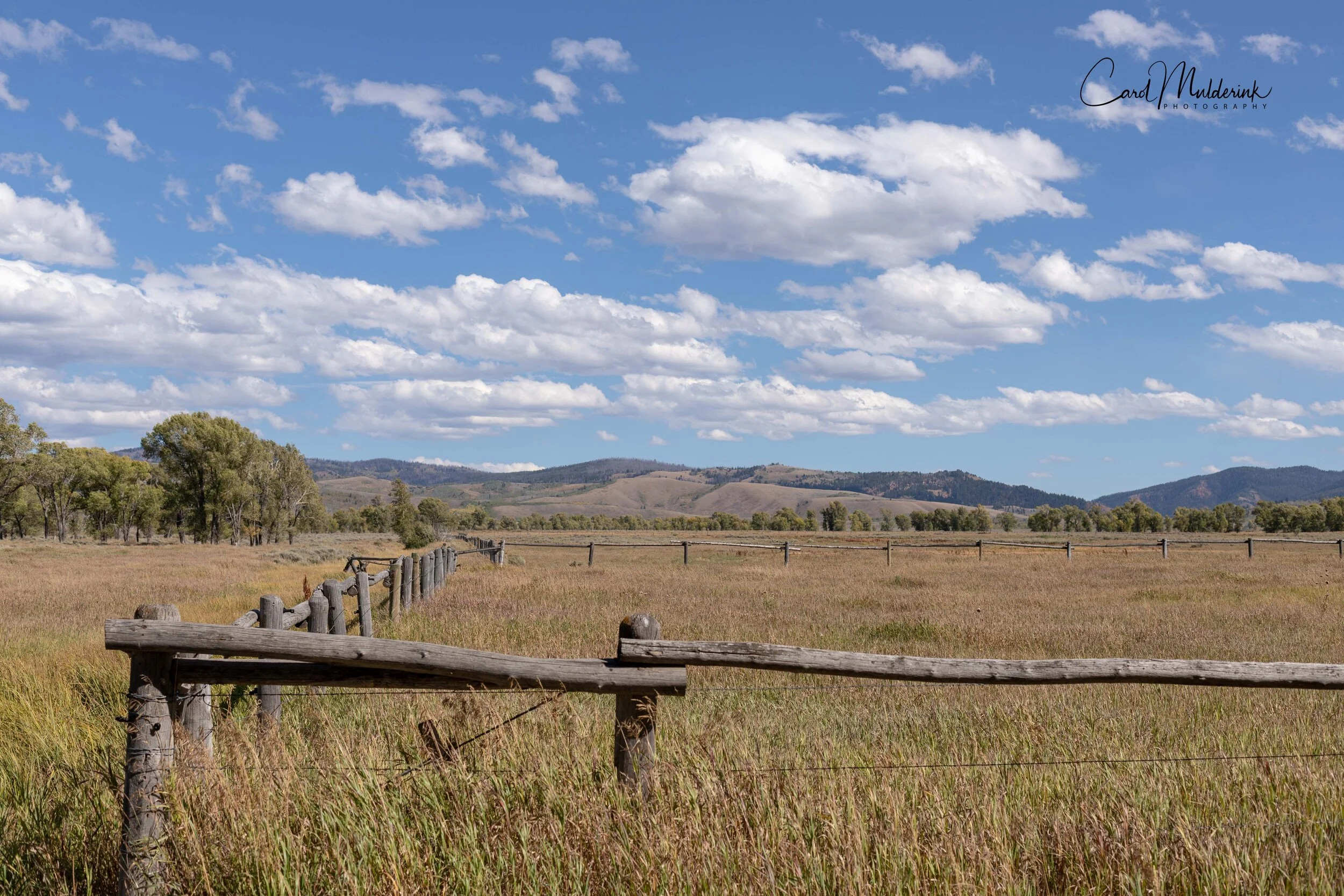 Jackson Hole