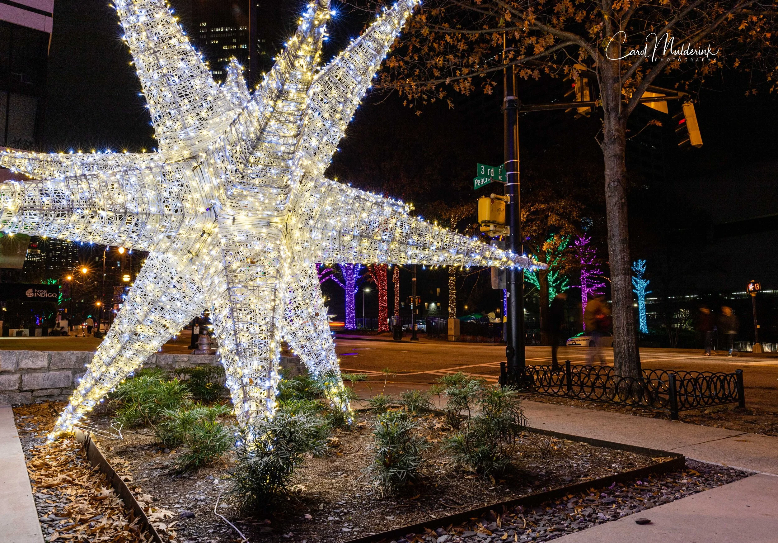Christmas lights