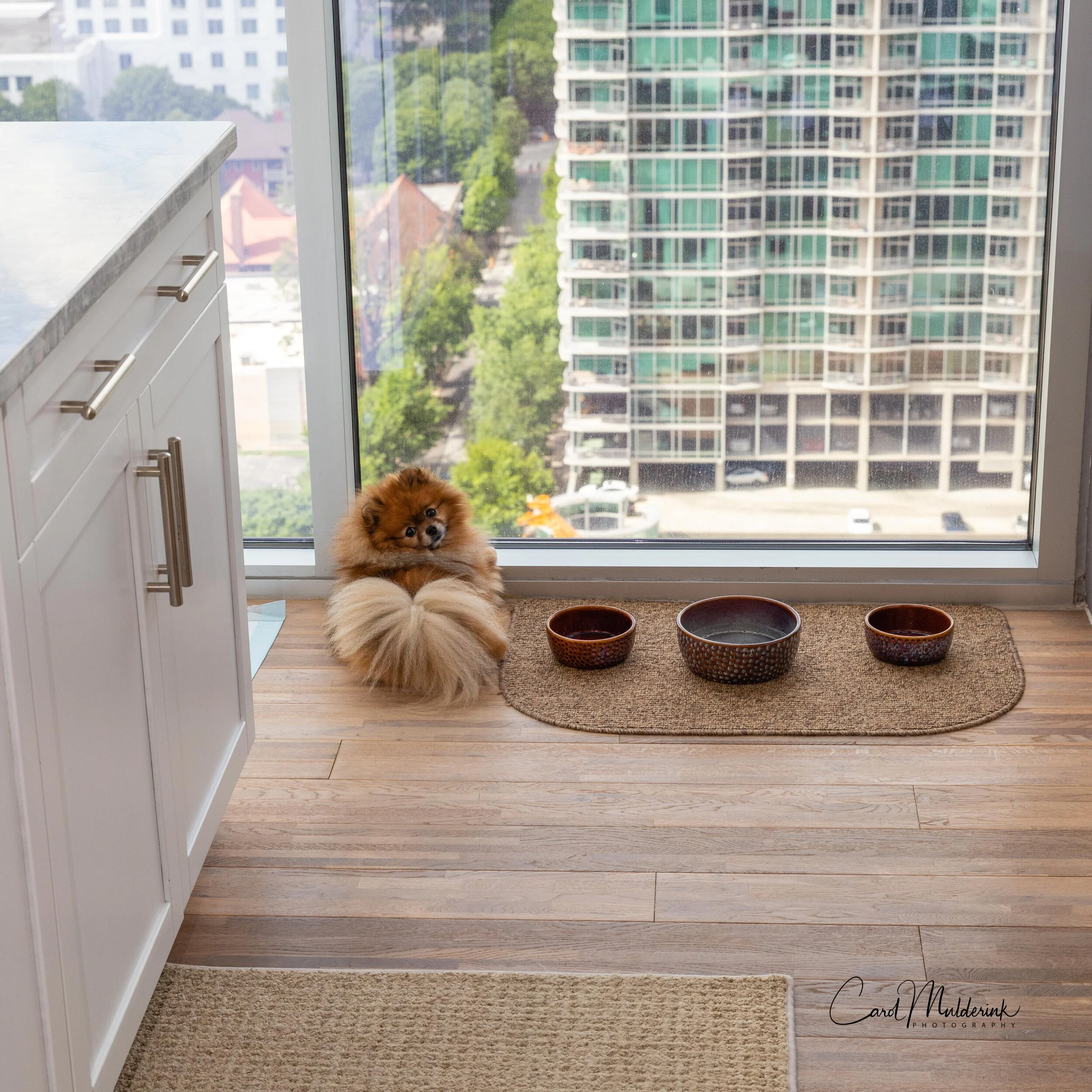 Charlie Rose food bowl 1-1.jpg