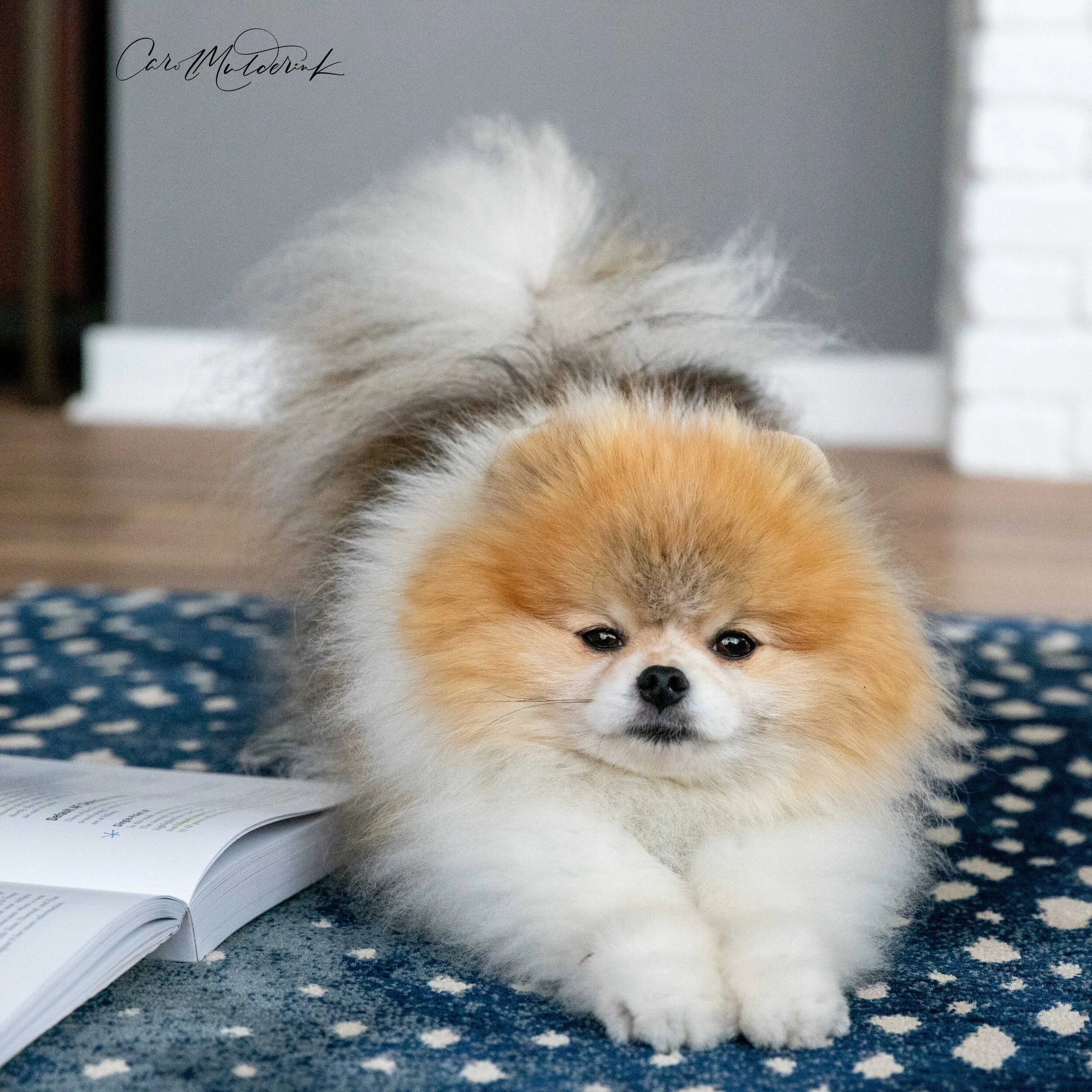 Oliver stretching.jpg