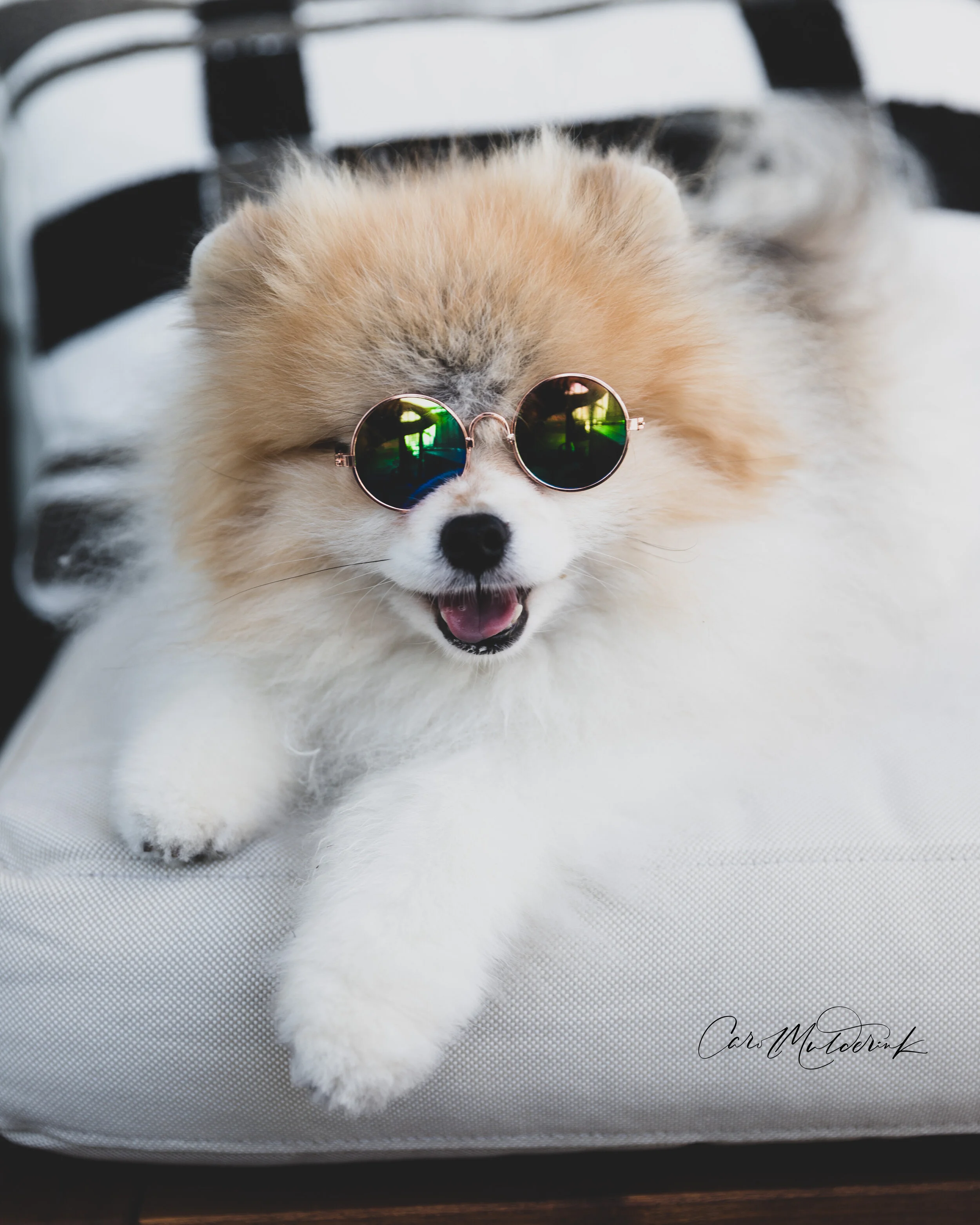 Oliver Instagram 2.jpg