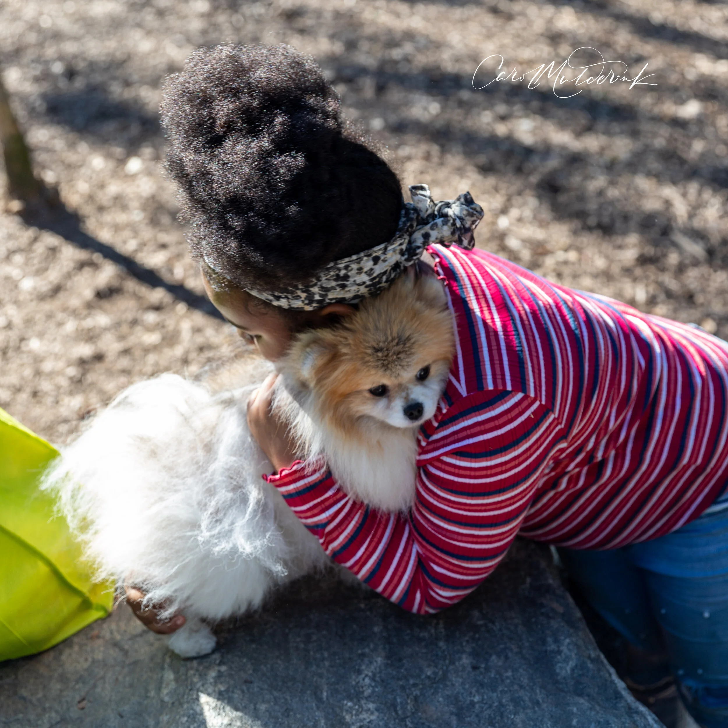 Dog Park-5558.jpg
