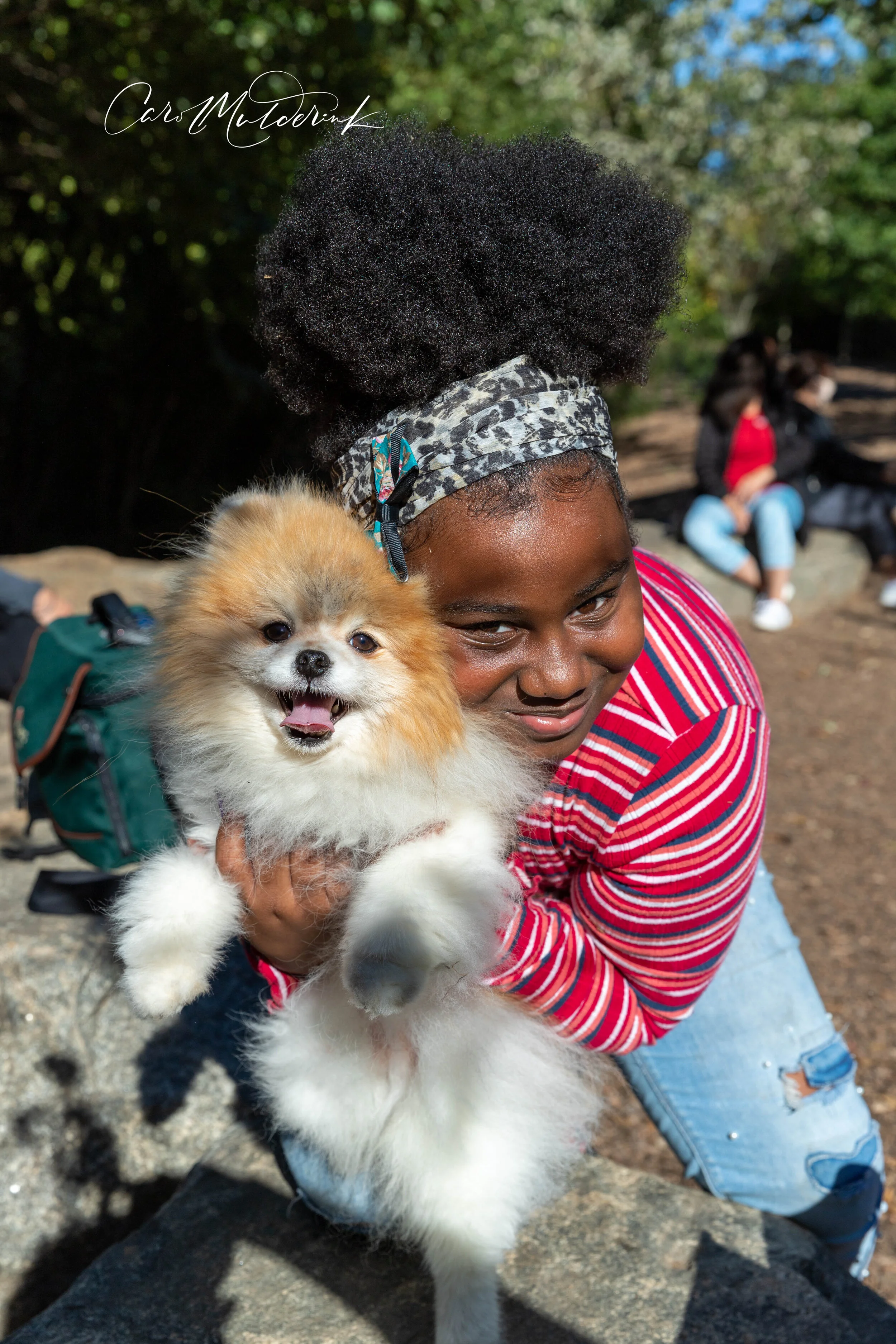 Dog Park-5563.jpg