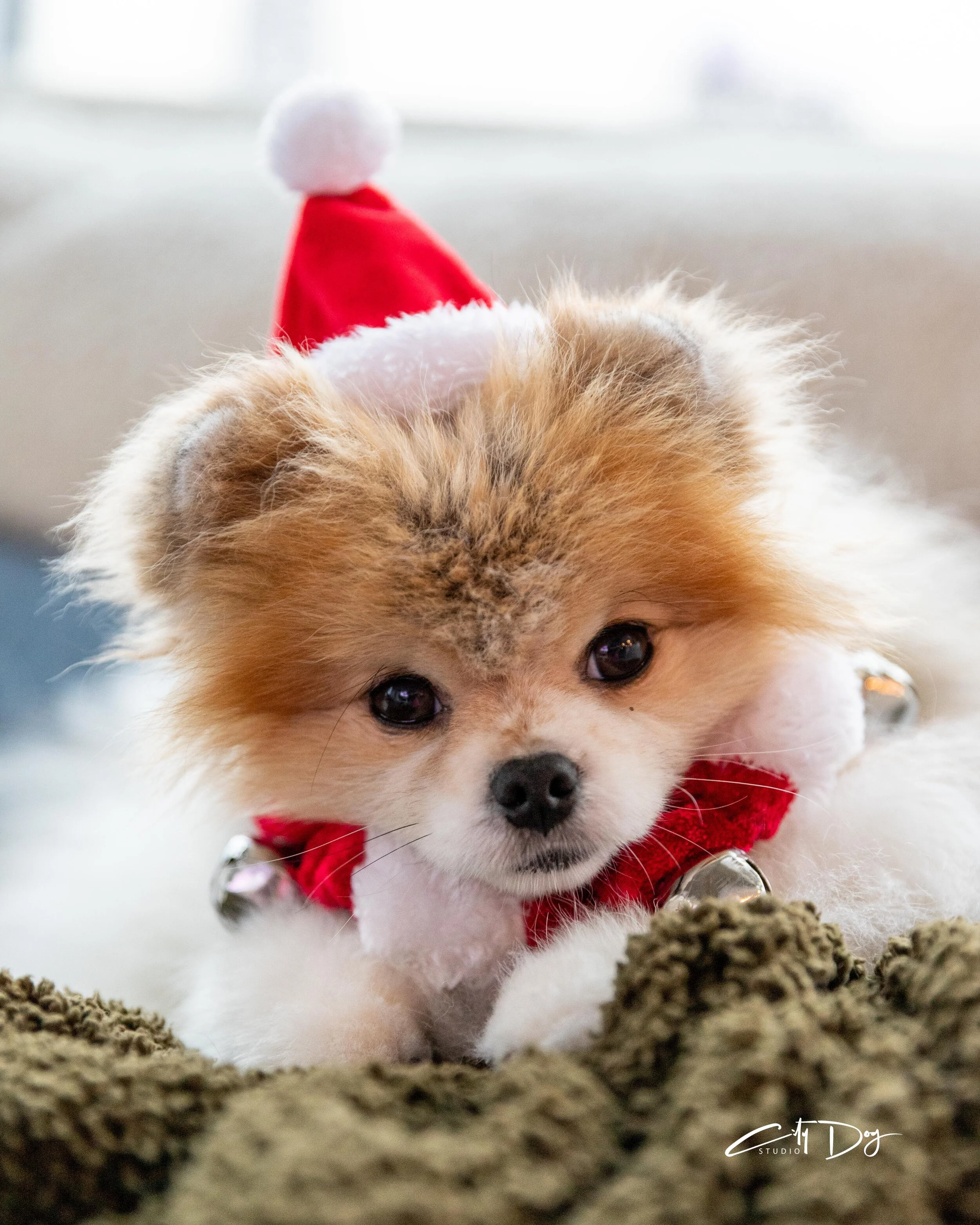 Santa Oliver-7005-2.jpg
