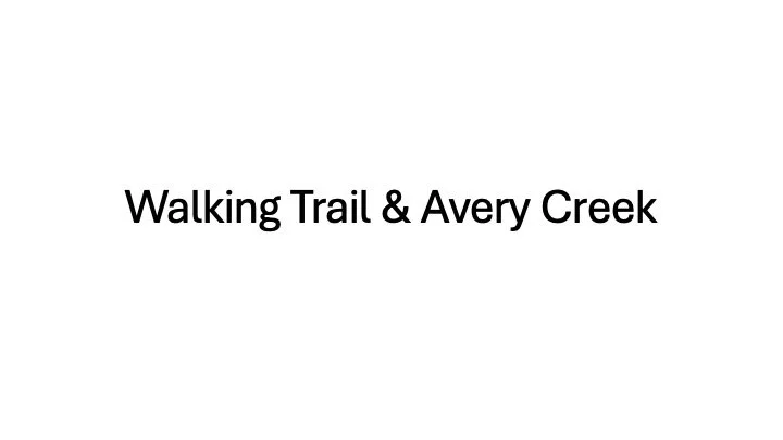 Trail.jpg