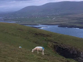 Valentia Island.JPG