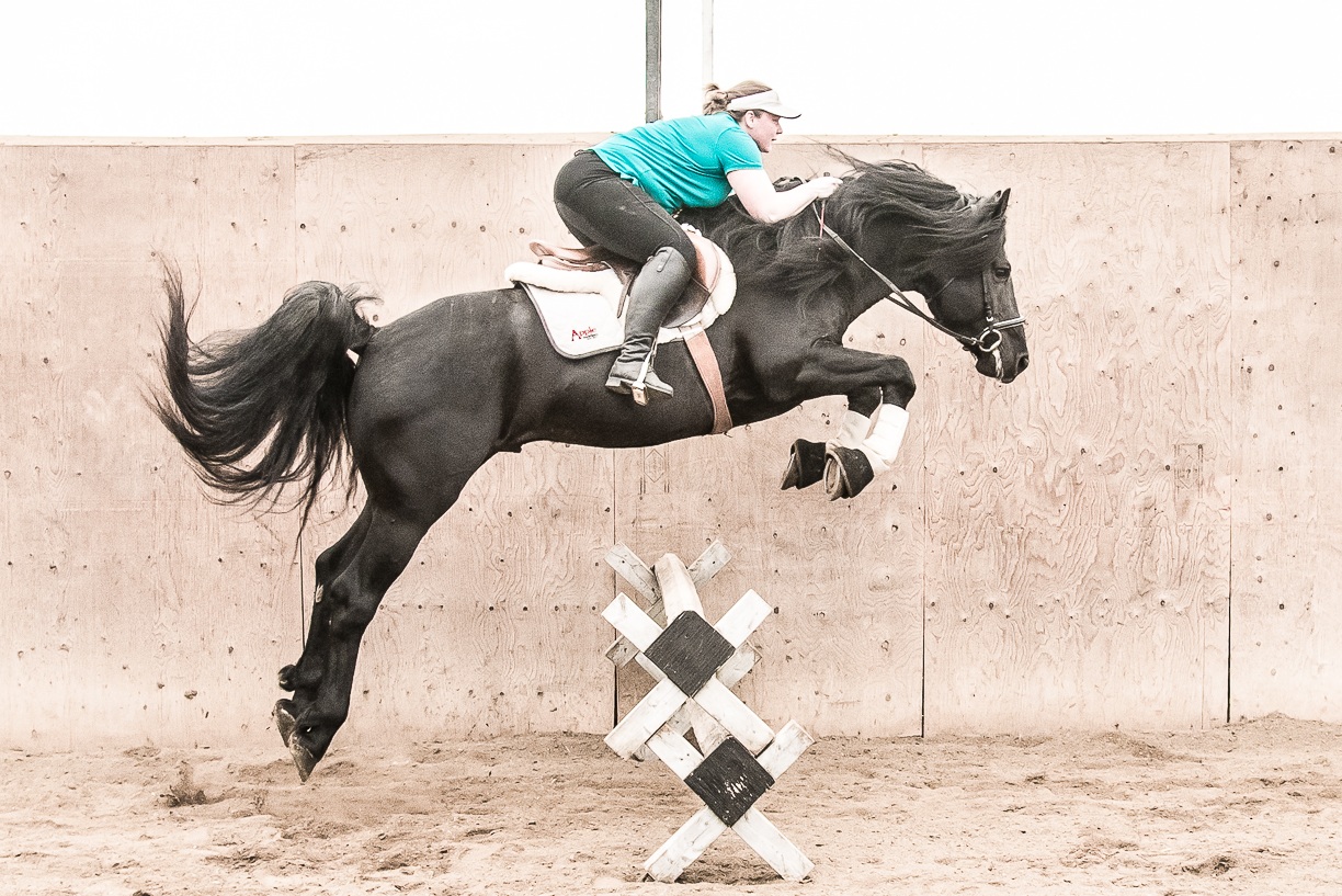 Web+pick+Boucher+Yugo+-+HUGO-37%5B65250%5D+Deborah+Wilson+photo+-+Rosemarie+Huxted+rider.jpg