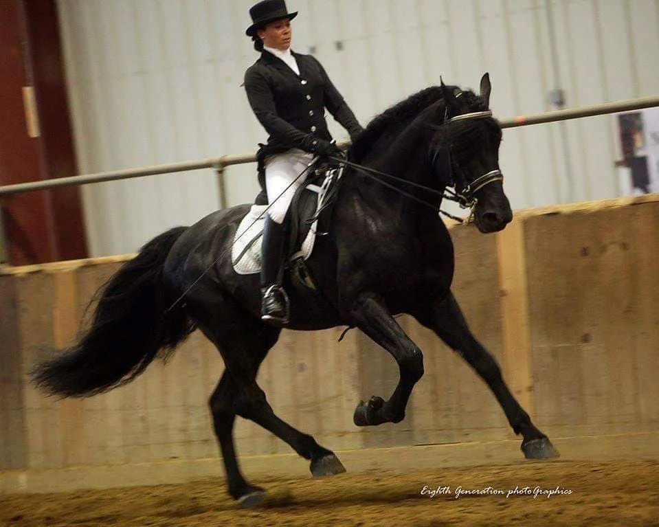Have+Lupin+dressage+first+show.jpg