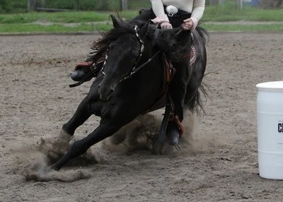 PROMO Hickie Phenom - 3D barrel racing mid 15s turn shot.jpg