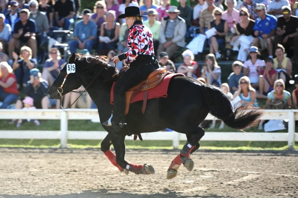 Delavoye Heros Phenom . Phenom is a 3D mid 15s barrel racer, who is also competitive in 3’ Jumper and Dressage. Ridden and trained by Julie Hickie of Cache Canadians