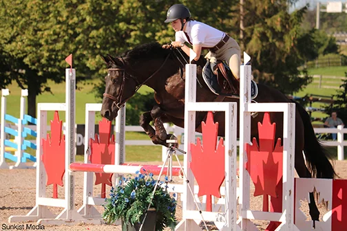 Glennview Brandy Nicholas aka "Griffin" / "Beeb" . Griffin is a First Level Dressage Champion and a competitive (top 10) Hunter on the Ottawa area circuit. Photo: Mikayla Reis, Sunkist Media