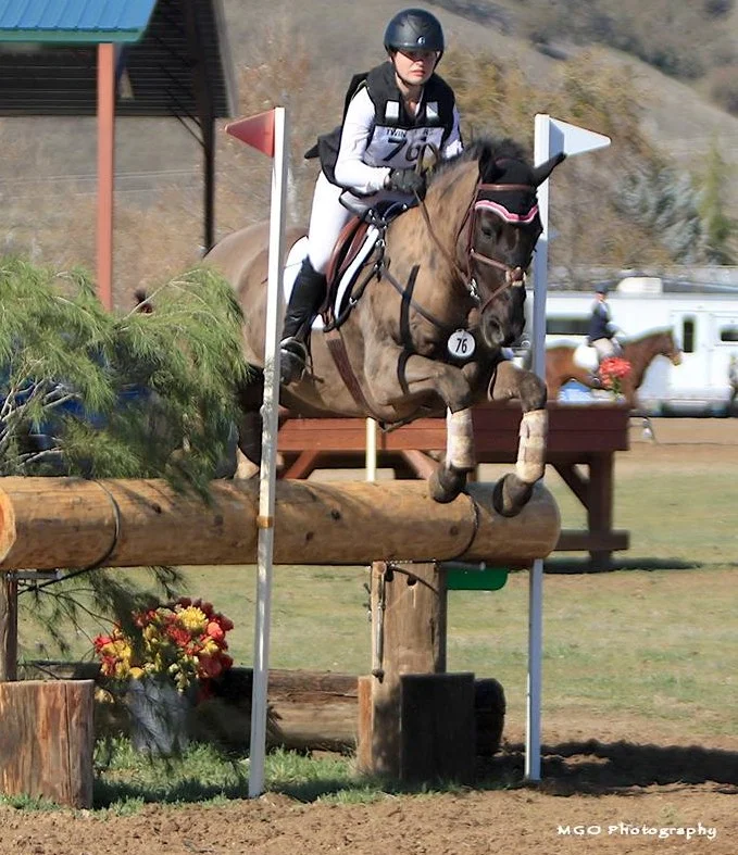 Storybook Prince-2 Xyder, owned and ridden by Callia Englund , Photo: MGO Photography. Team Silver 2018 NAYC. Third 2018 American Eventing Championships Preliminary Level.