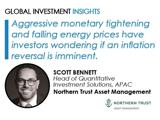 Utilising quant in equity portfolios to improve returns, avoid unintended risk and integrate sustainability