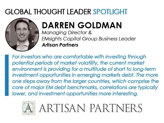 Spotlight on Darren Goldman, Managing Director &amp; EMsights Capital Group Business Leader, Artisan Partners