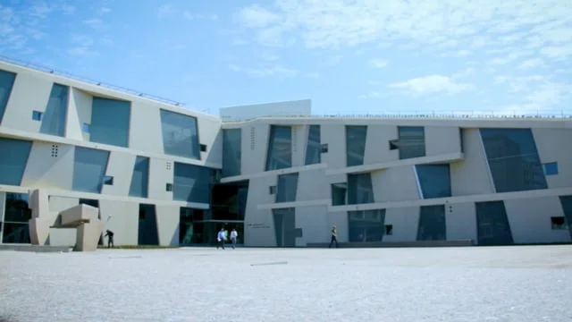 Copy of The BBVA Compass Roof Garden at the Museum of Fine Arts, Houston