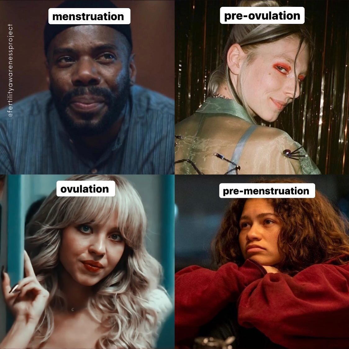 Have you watched Euphoria yet?? I have, and I am obsessed. The best thing about this menstrual cycle and Euphoria characters is that they amplify the shadow (@_clairebaker_ 's concept!) of each phase of the cycle. We are not all light, or all dark. W