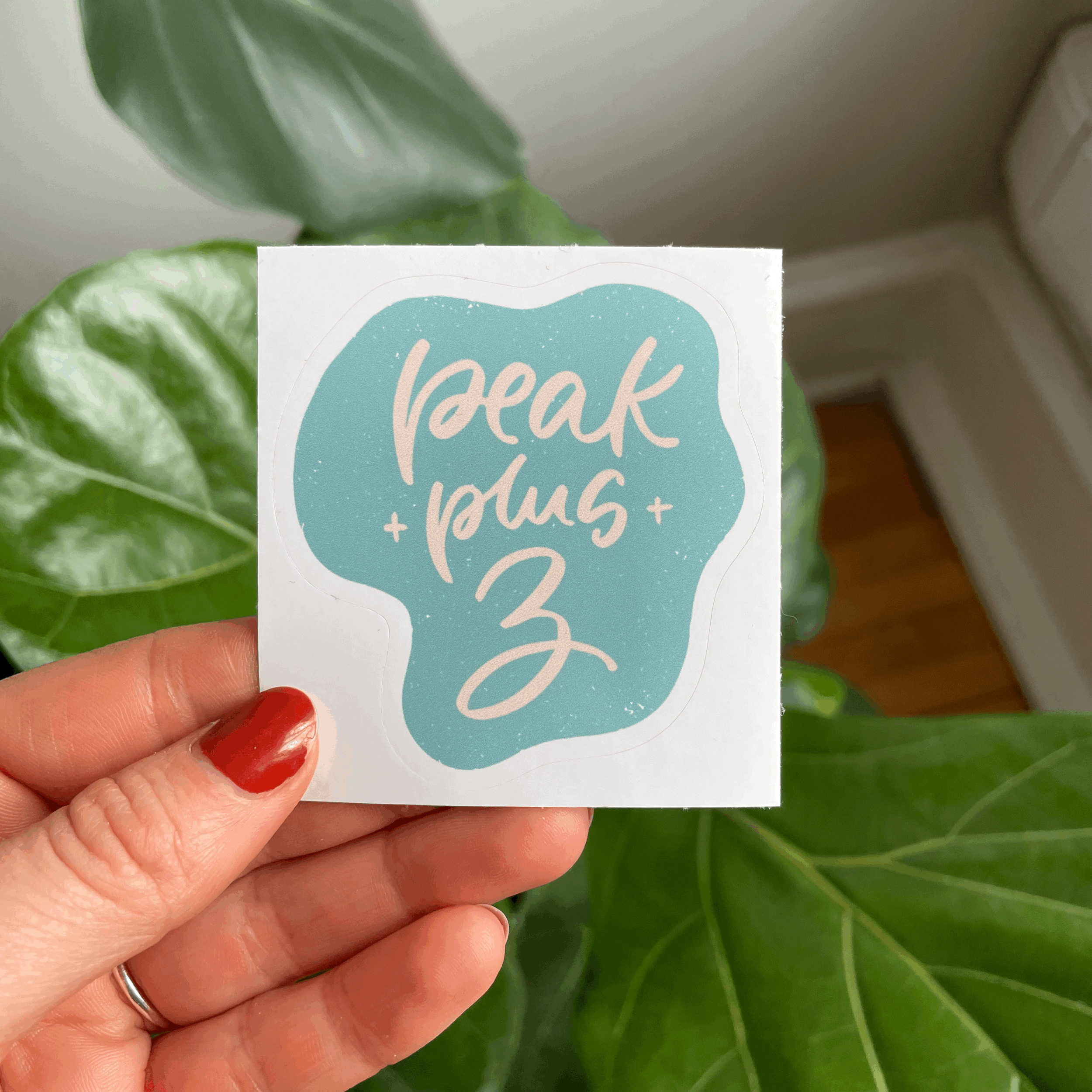 Peak Plus Three Sticker