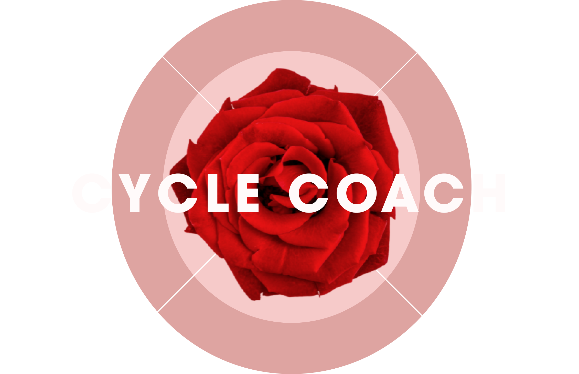 Cycle Coach School