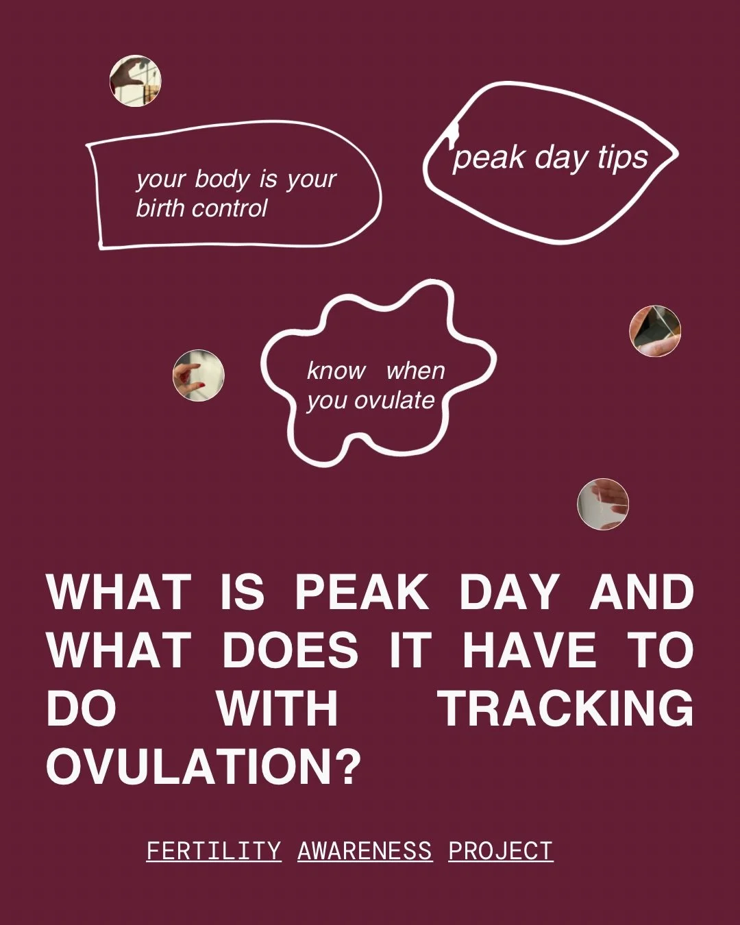 Ovulation timing and your fertile window SAVE THIS 🔖

Peak day issues are one of the number one things we troubleshoot inside Cycle Love.

The biggest points of confusion are:
Too much mucus
Too little mucus

When these things are happening it can b