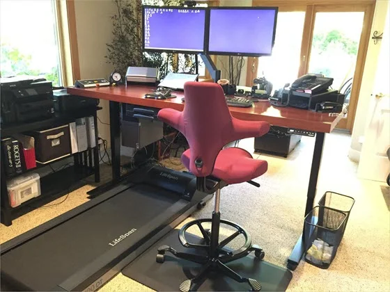 The Treadmill Walking Desk