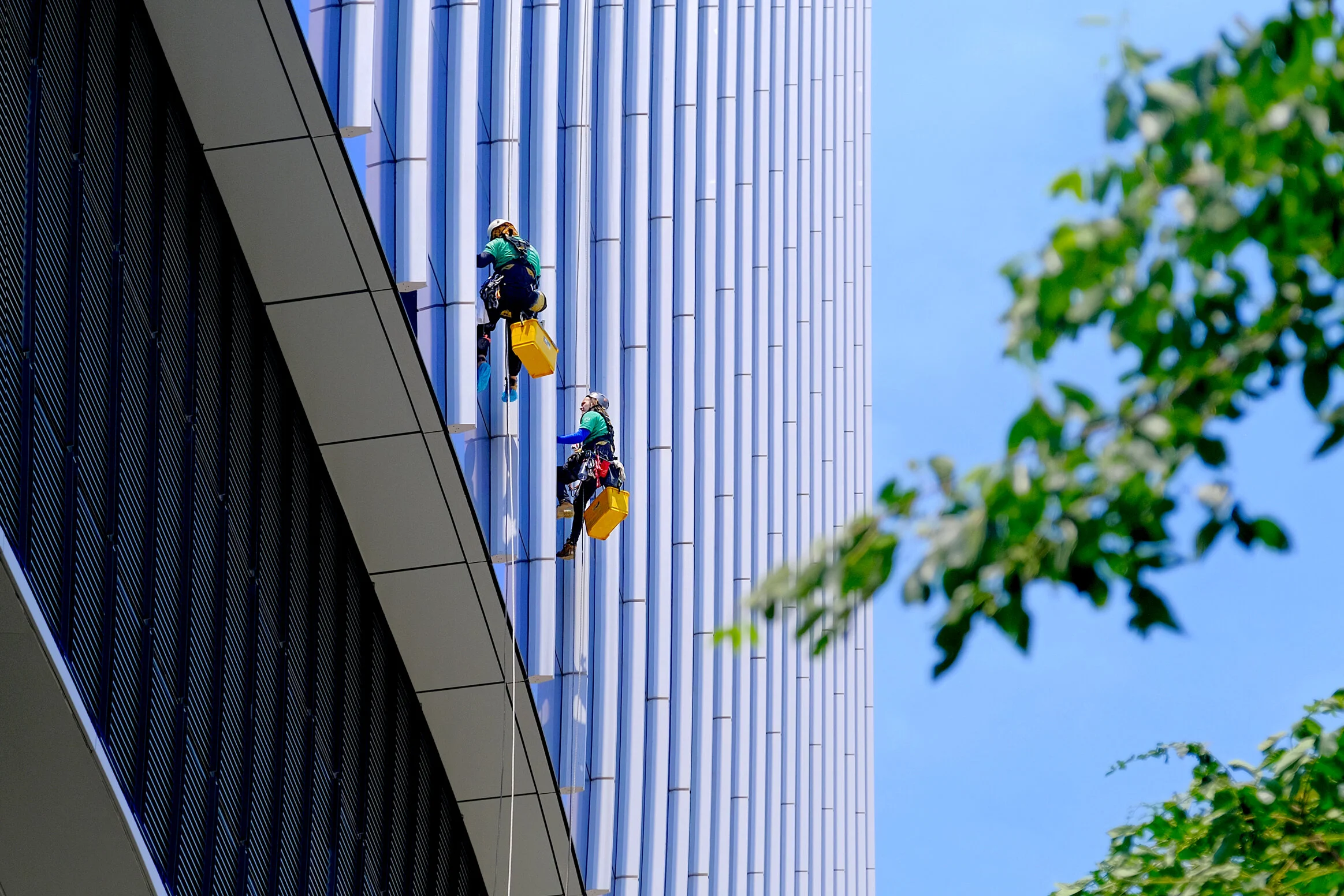  high rise building facade cleaning by deluxe cleaning sydney 