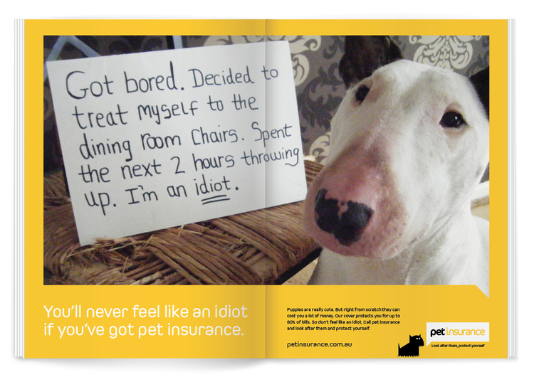 Pet+Shaming.jpg