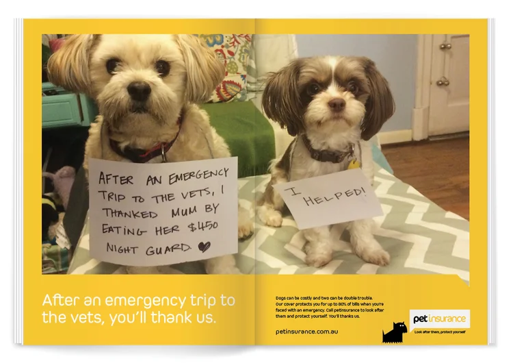 Pet+Shaming2.jpg