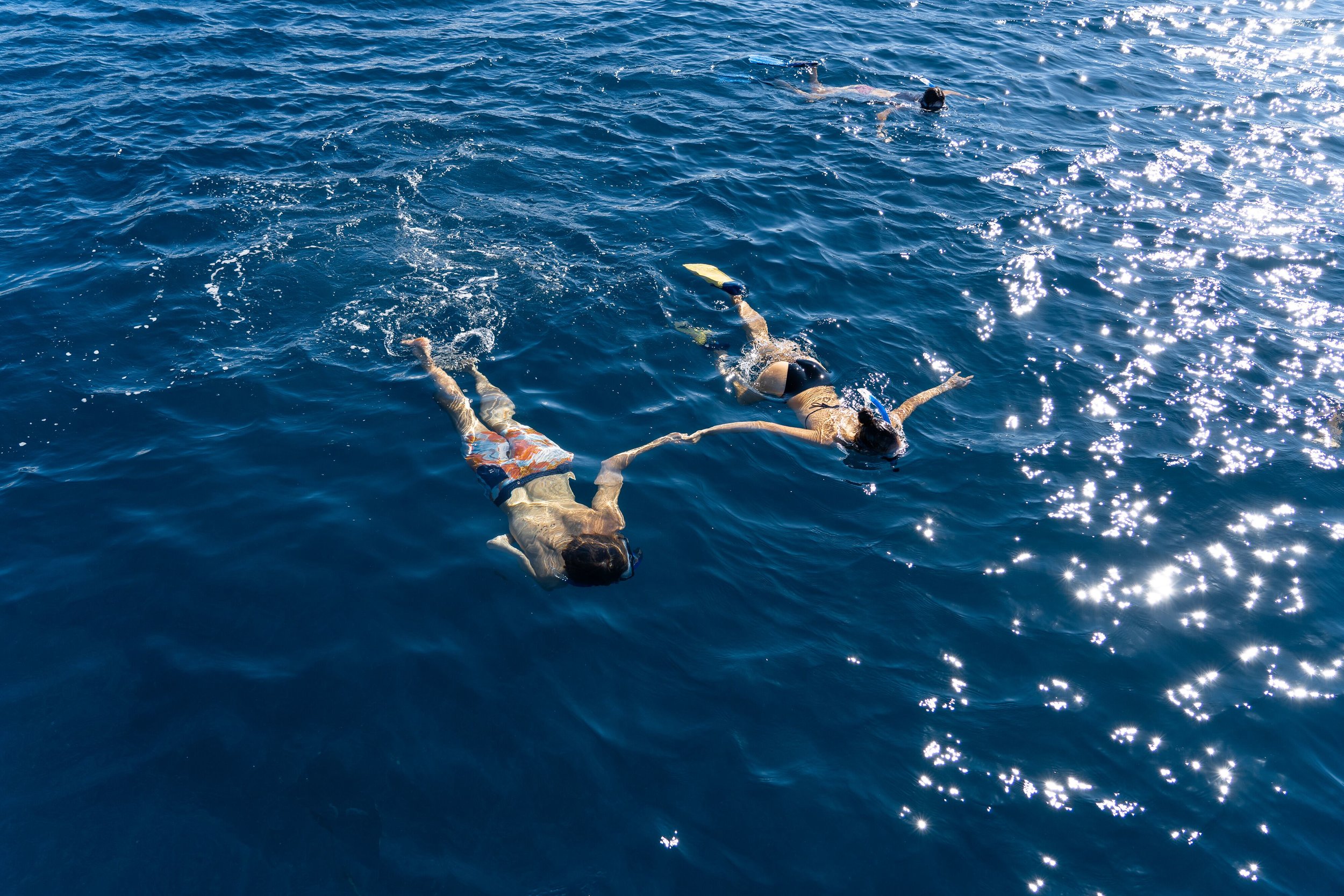 Hawaii Sail Charters Kona Sailing & Snorkeling Tours Big Island Private Sailing Charters-10 Snorkelers looking at coral reef.jpg