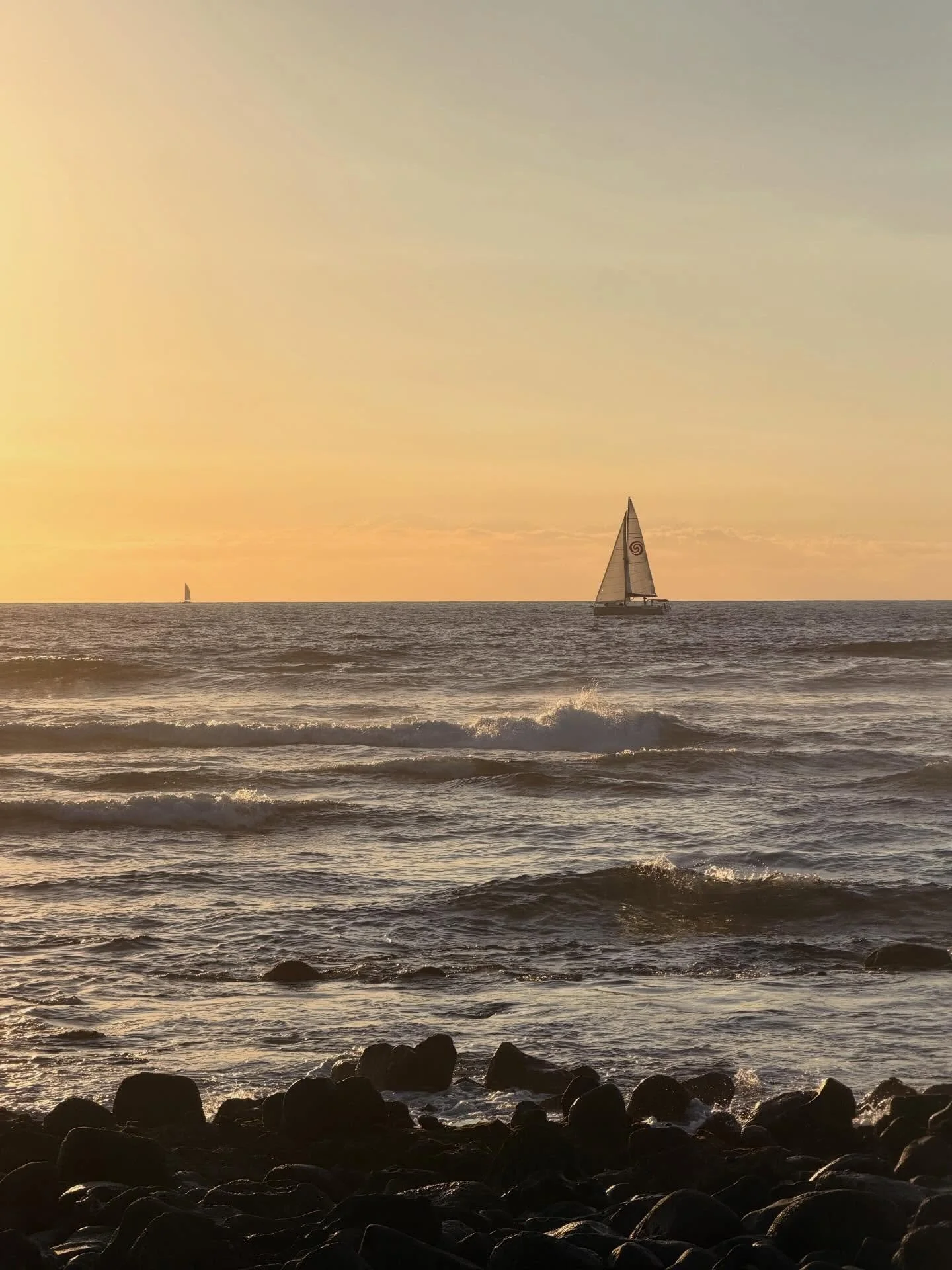 Sailing along ⛵️

#sail #sailing #sailboat #hawaii #kailuakona #sailhawaii

📸📸 @averynihill