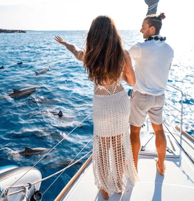 Dolphin Tours - Dolphin Watching Charters in Kona