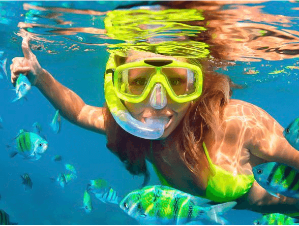 Snorkel Tours - Snorkelling Trips in Kona Hawaii