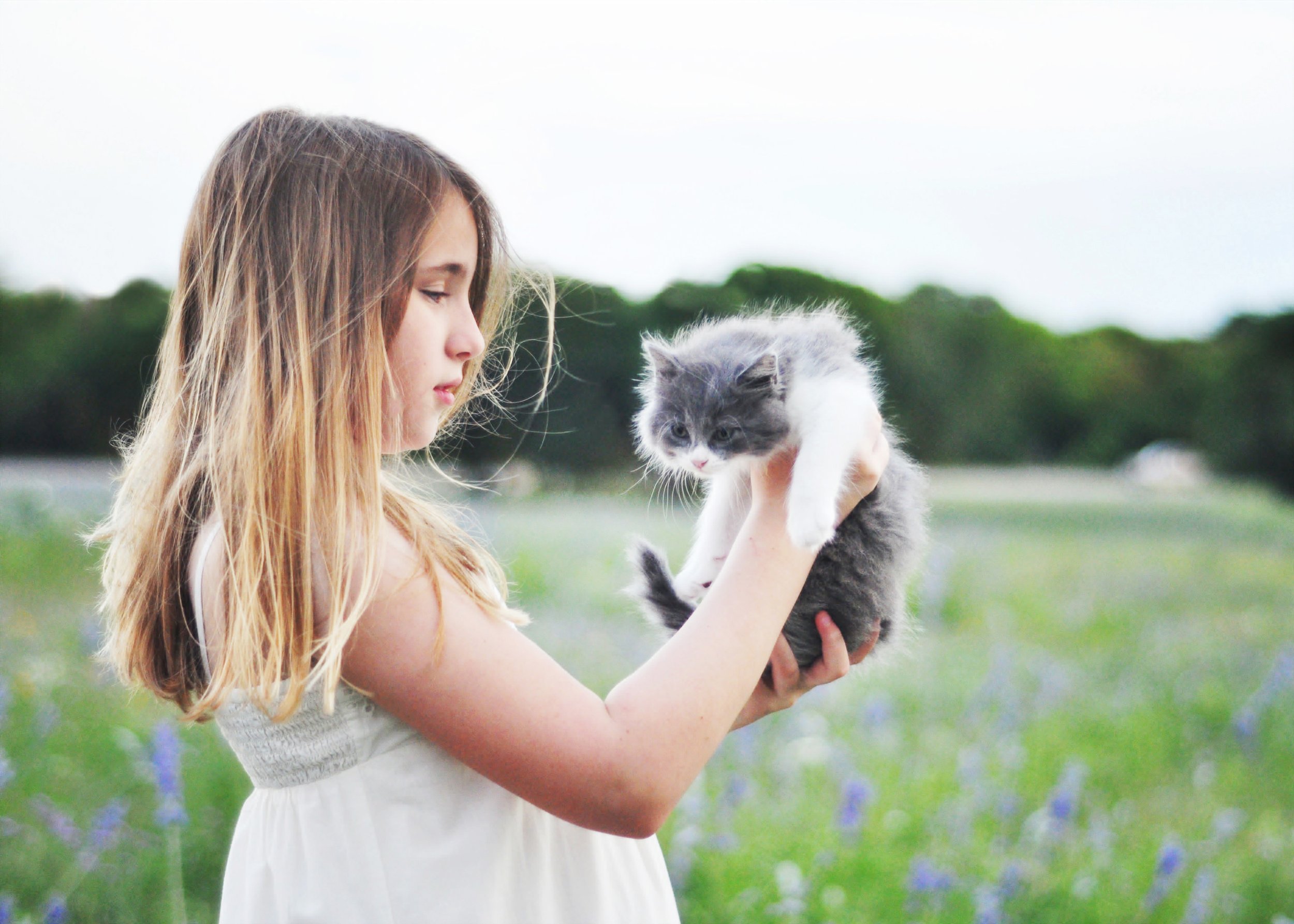 new braunfels austin san antonio family children senior portraits photographer