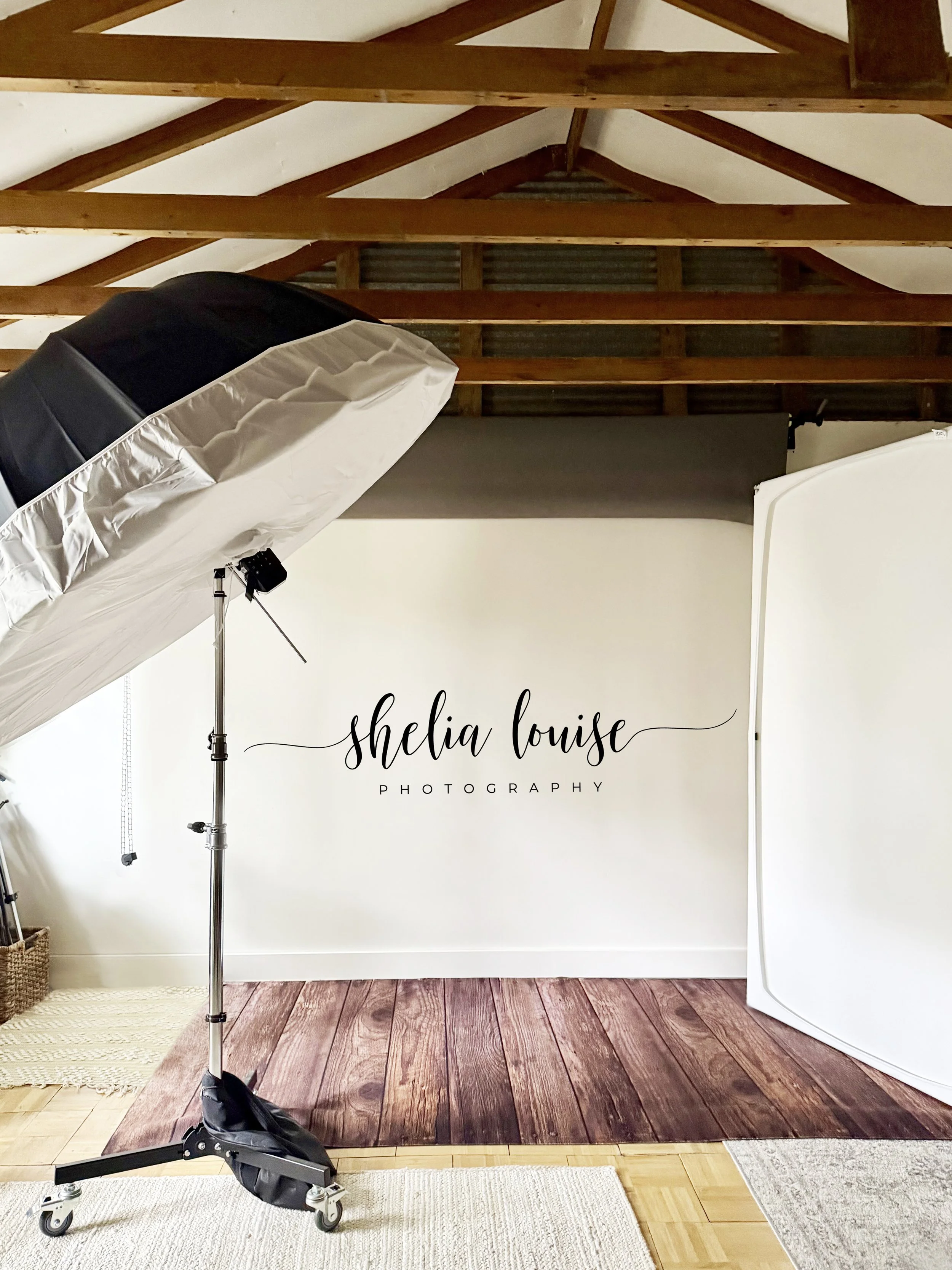 A little studio magic for your family this fall &amp; winter
