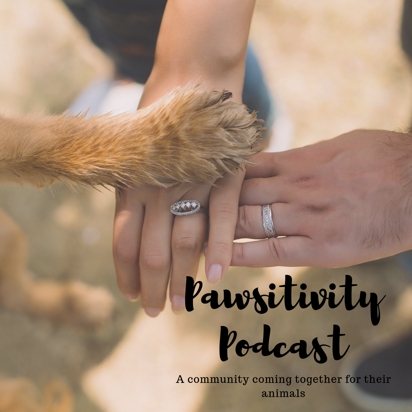 Episode 1: Introduction to Pawsitivity