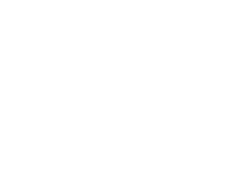 ADISHAKTI-02.png