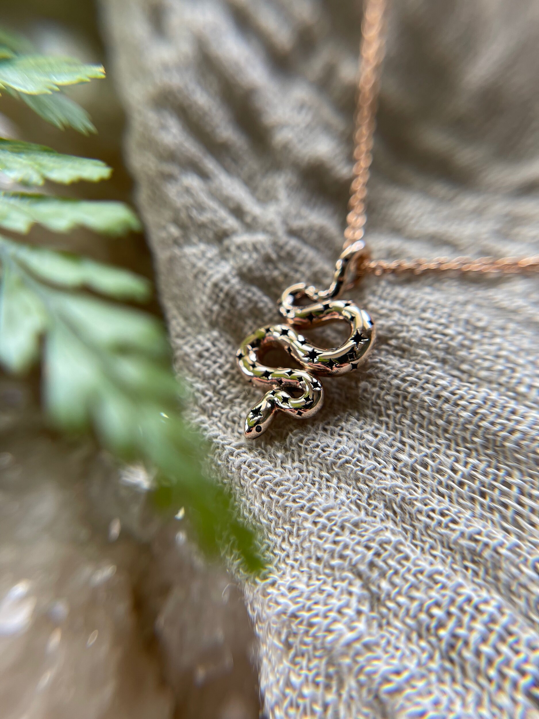 8C9EDF5A-6A4B-448F-9FF6-634E68FF28BB