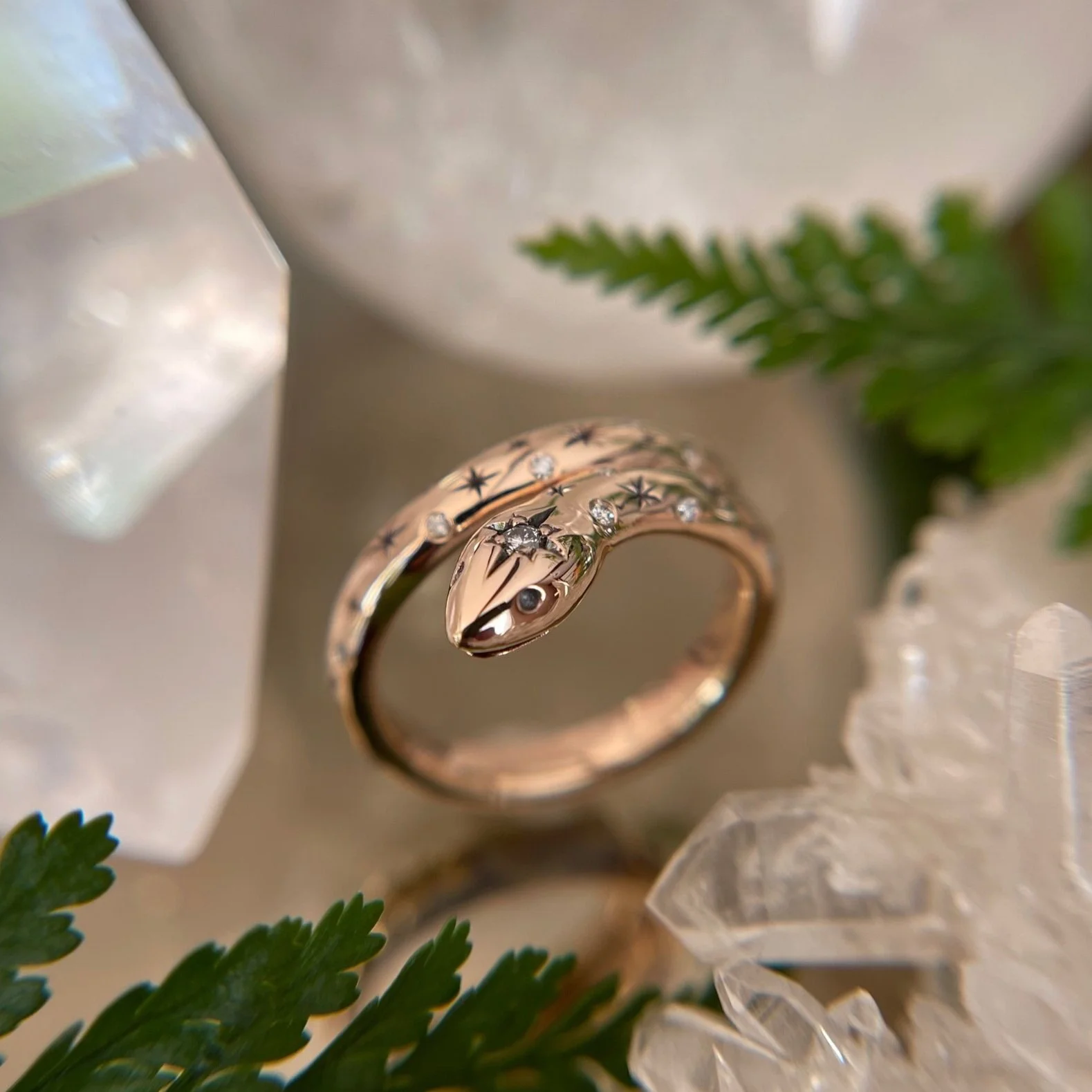 AC25D29D-92BB-421C-B092-0512B398626C